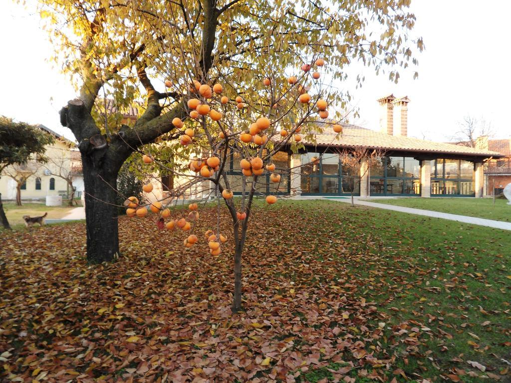 Residence Armonia Roncade Kültér fotó